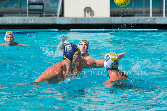 20140913CalvDavisLR (244 of 299)