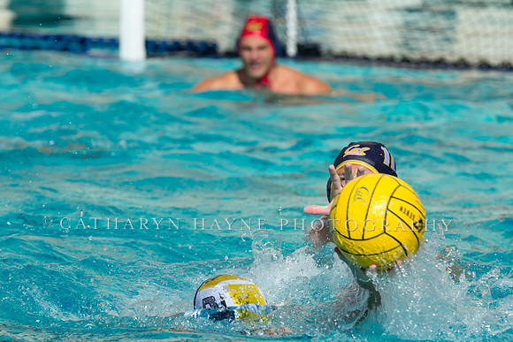 20140913CalvDavisLR (113 of 299)