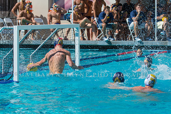 20140913CalvDavisLR (297 of 299)