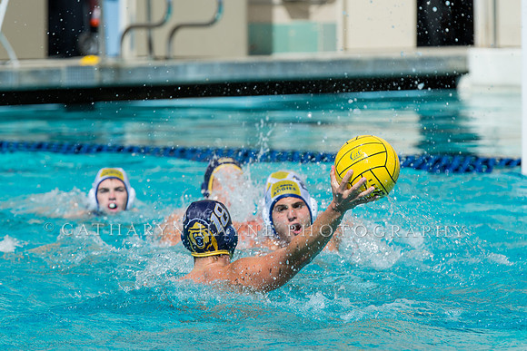 20140913CalvDavisLR (292 of 299)