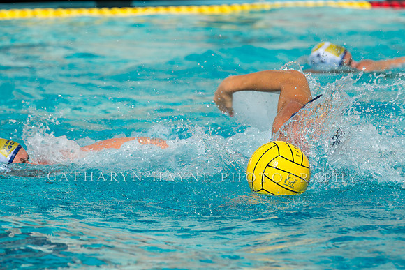20140913CalvDavisLR (116 of 299)