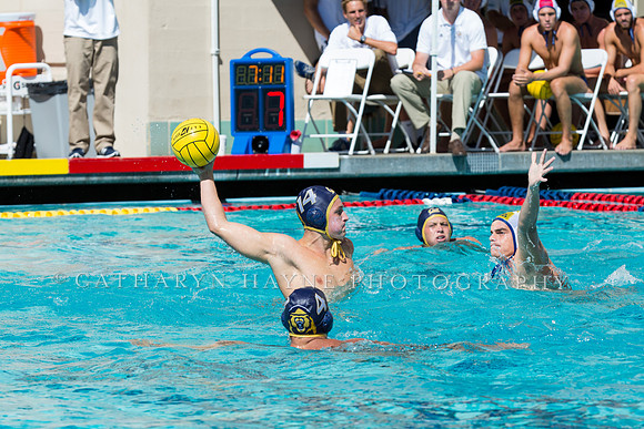 20140913CalvDavisLR (271 of 299)