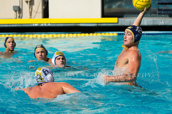 20140913CalvDavisLR (119 of 299)