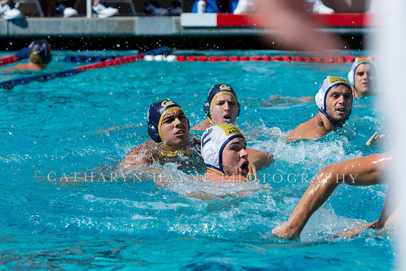 20140913CalvDavisLR (263 of 299)
