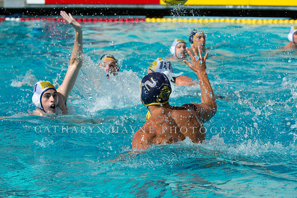 20140913CalvDavisLR (147 of 299)