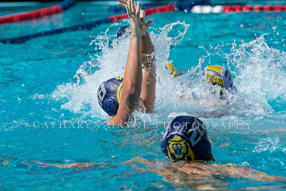 20140913CalvDavisLR (296 of 299)