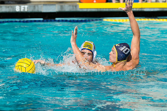 20140913CalvDavisLR (4 of 299)