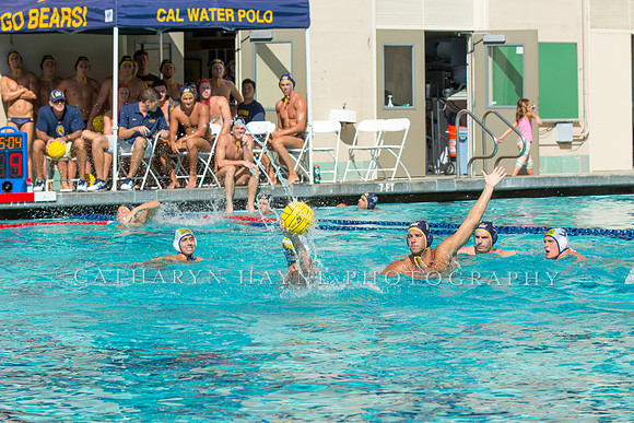 20140913CalvDavisLR (134 of 299)