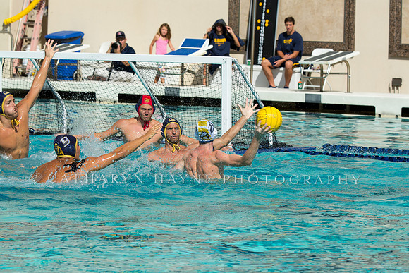 20140913CalvDavisLR (139 of 299)