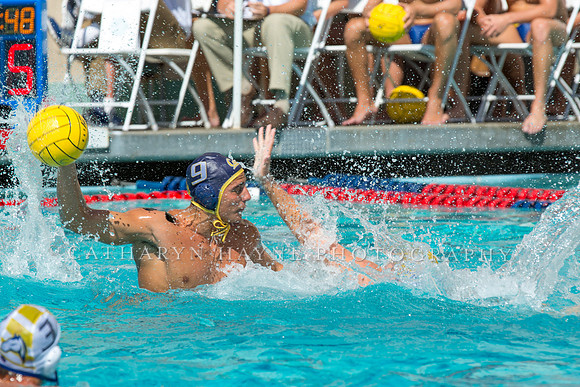 20140913CalvDavisLR (241 of 299)