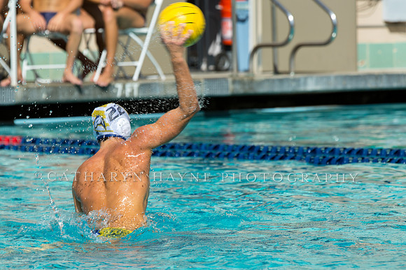 20140913CalvDavisLR (155 of 299)