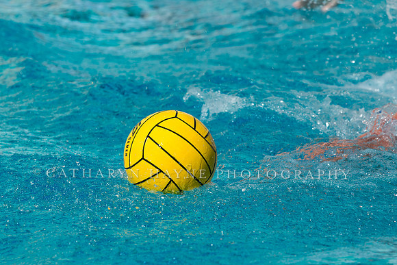 20140913CalvDavisLR (118 of 299)