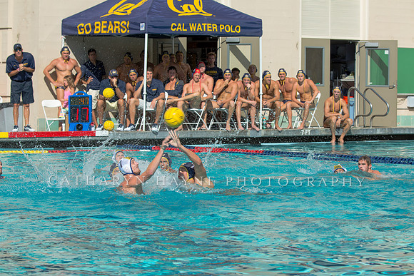 20140913CalvDavisLR (79 of 299)
