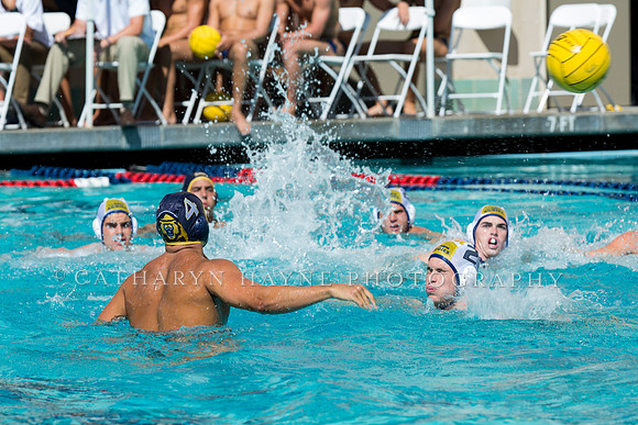 20140913CalvDavisLR (253 of 299)