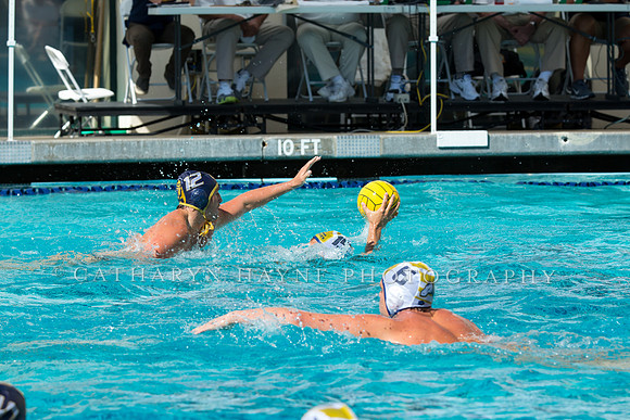 20140913CalvDavisLR (197 of 299)