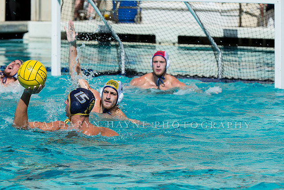 20140913CalvDavisLR (255 of 299)