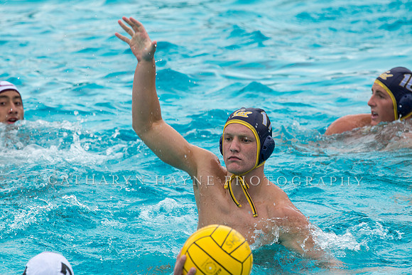 20140928CalvChapmanLR-27