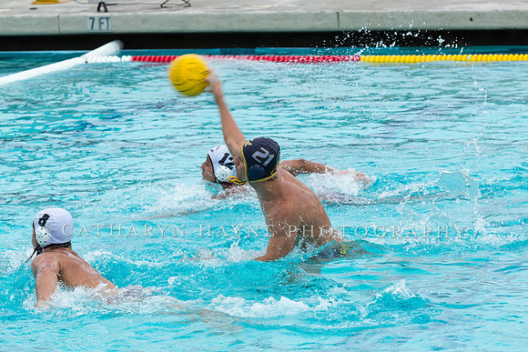 20140928CalvChapmanLR-10