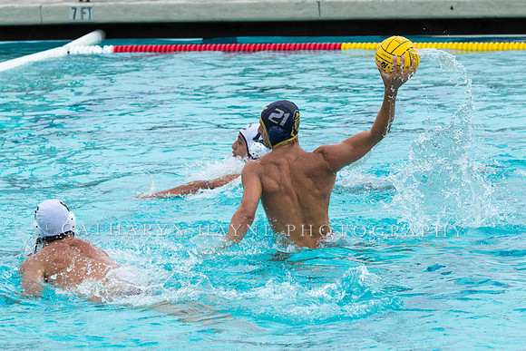 20140928CalvChapmanLR-9