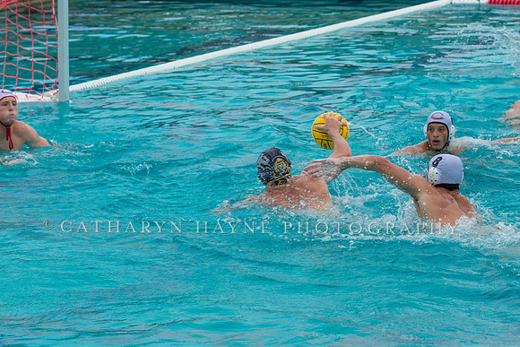 20140928CalvChapmanLR-65
