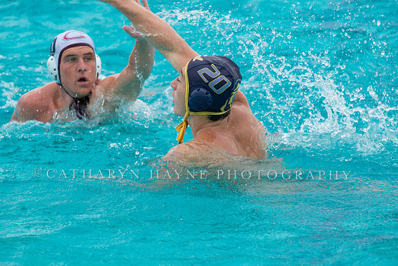 20140928CalvChapmanLR-59