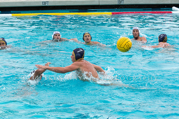 20140928CalvChapmanLR-11