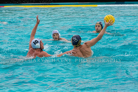 20140928CalvChapmanLR-63