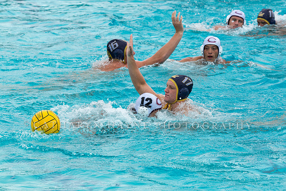 20140928CalvChapmanLR-22