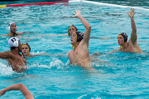 20140928CalvChapmanLR-33
