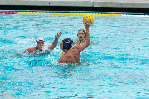 20140928CalvChapmanLR-16