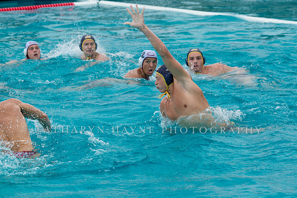 20140928CalvChapmanLR-74