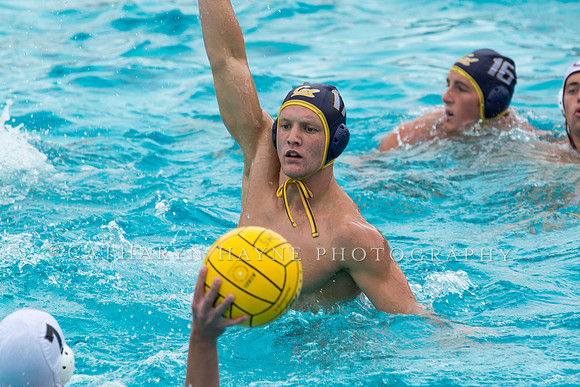 20140928CalvChapmanLR-26
