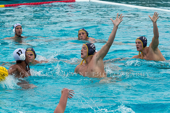 20140928CalvChapmanLR-32