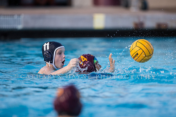 11U USA Water Polo Olympic Development