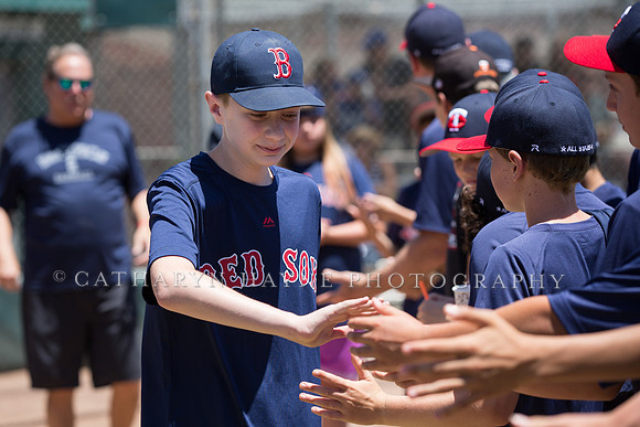 Project Awareness and Special Sports Baseball,