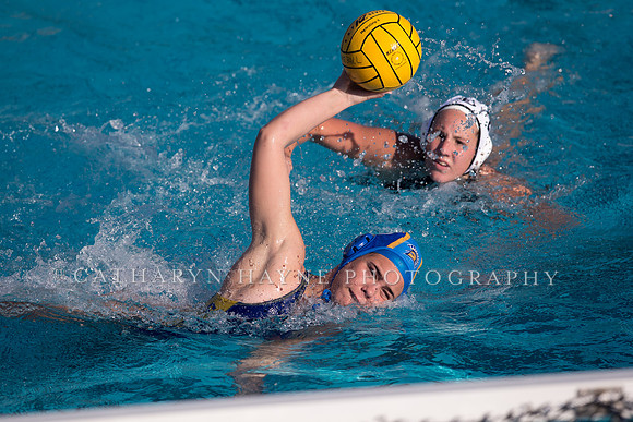 Cal vs SJSU at California Speedo Cup