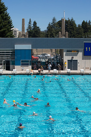 Cal Boys Water Polo Camp