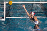 Cal vs SJSU at California Speedo Cup