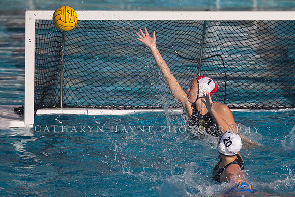 Cal vs SJSU at California Speedo Cup