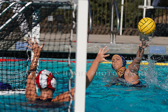 Collegiate Women's Water Polo: Barbara Kalbus Invitational: California Golden Bears vs UC San Diego Tritons