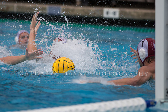 Cal vs Stanford at Mountain Pacific Sports Federation 2016