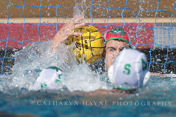 MWP: Salem University Tigers vs UCLA Bruins