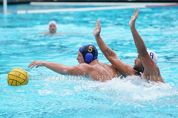 MWP:California Golden Bears vs UCSB Gauchos