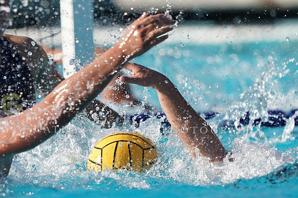 Collegiate Women's Water Polo: Barbara Kalbus Invitational: California Golden Bears vs USC Trojans