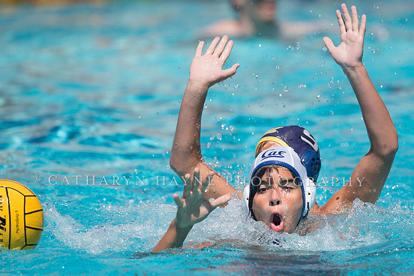 Cal Boys Water Polo Camp