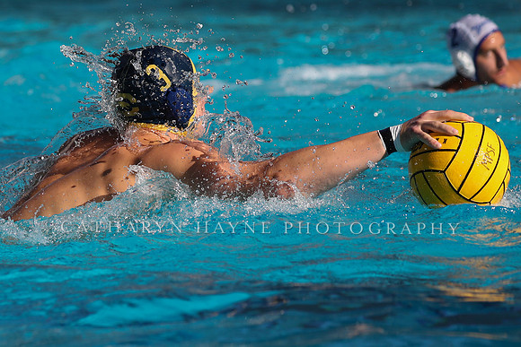Collegiate Mens Water Polo: MPSF Invitational: California Golden Bears vs UC Santa Barbara Gauchos