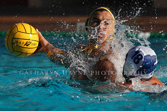 Collegiate Mens Water Polo: MPSF Invitational: California Golden Bears vs UC Santa Barbara Gauchos