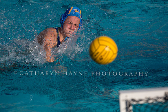 Cal vs SJSU at California Speedo Cup