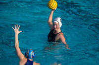 Cal vs SJSU at California Speedo Cup