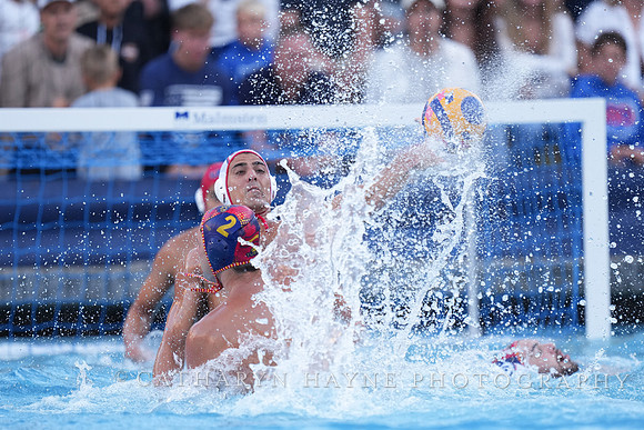 Luca Cupido, Alberto Munarriz